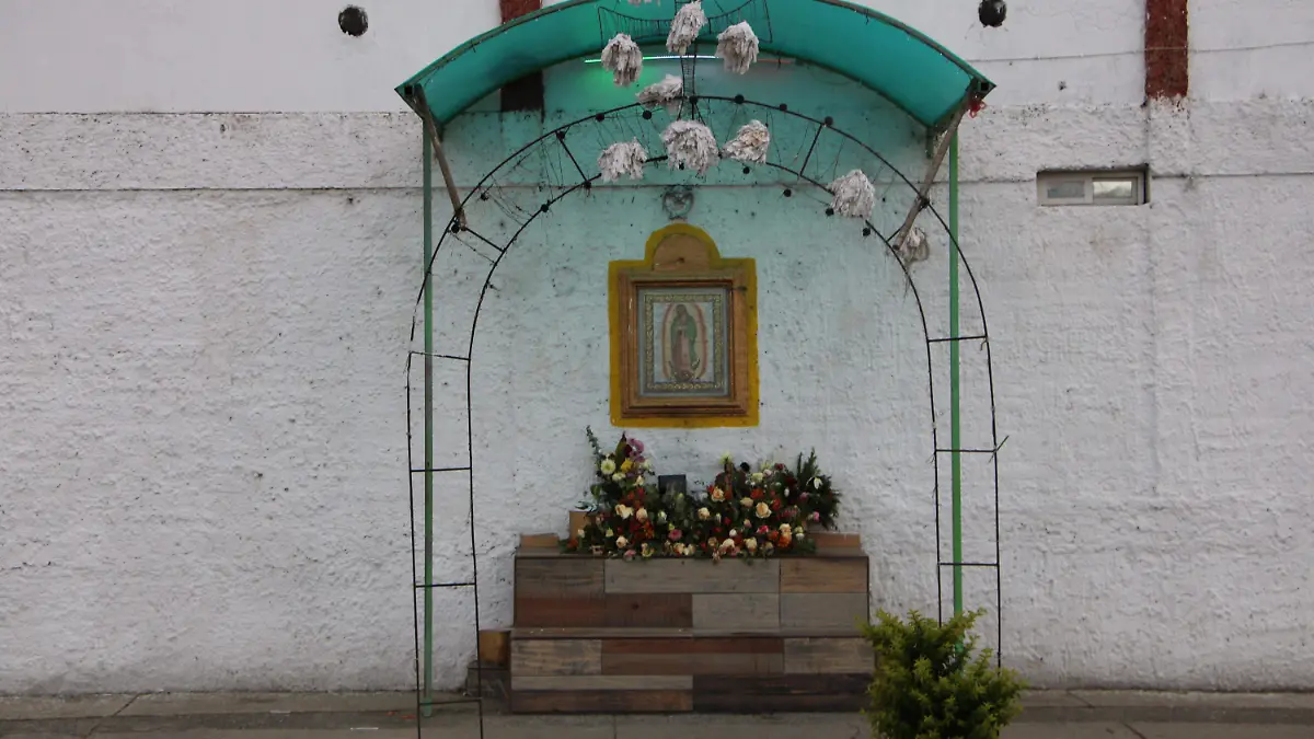 Virgen de Guadalupe 