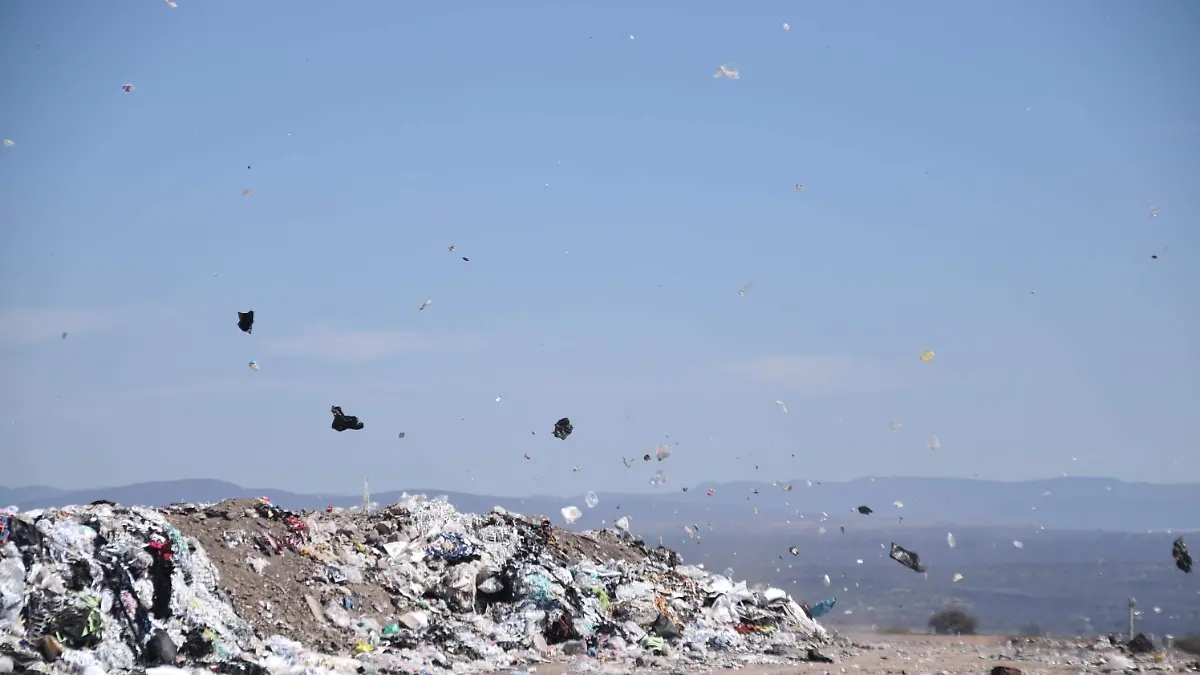 RELLENO SANITARIO PURISIMA