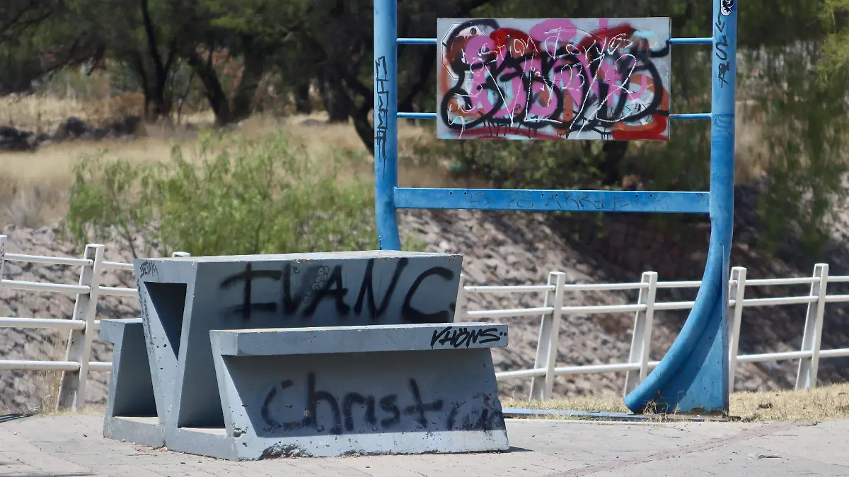 SARDENETA - Fco Meza - El Sol de León (6)