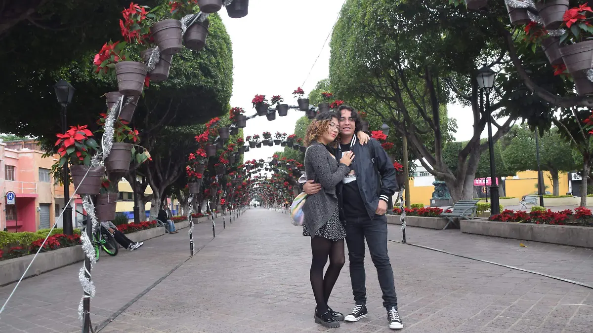 Decoraciones Navideñas Centro _ FRANCISCO CARMONA (2)