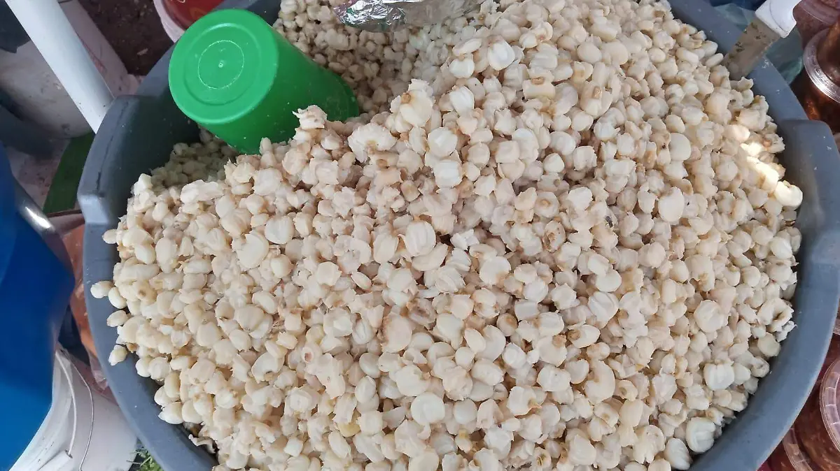 rosario horta - Pozole