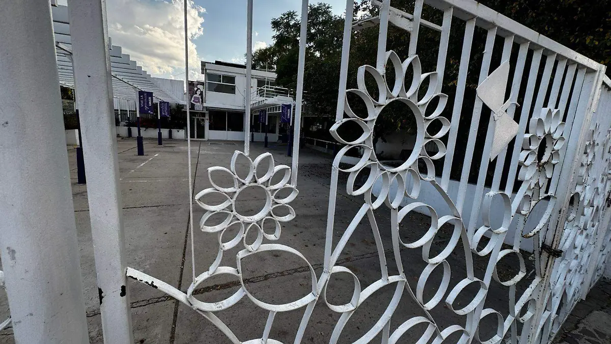 Image 2024-11-07 at 10.21.12 AM