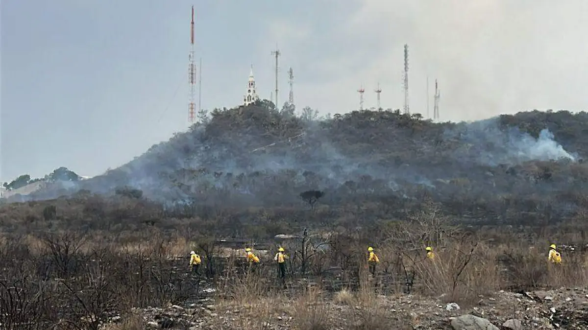 Image 2024-06-06 at 3.26.12 PM (1)