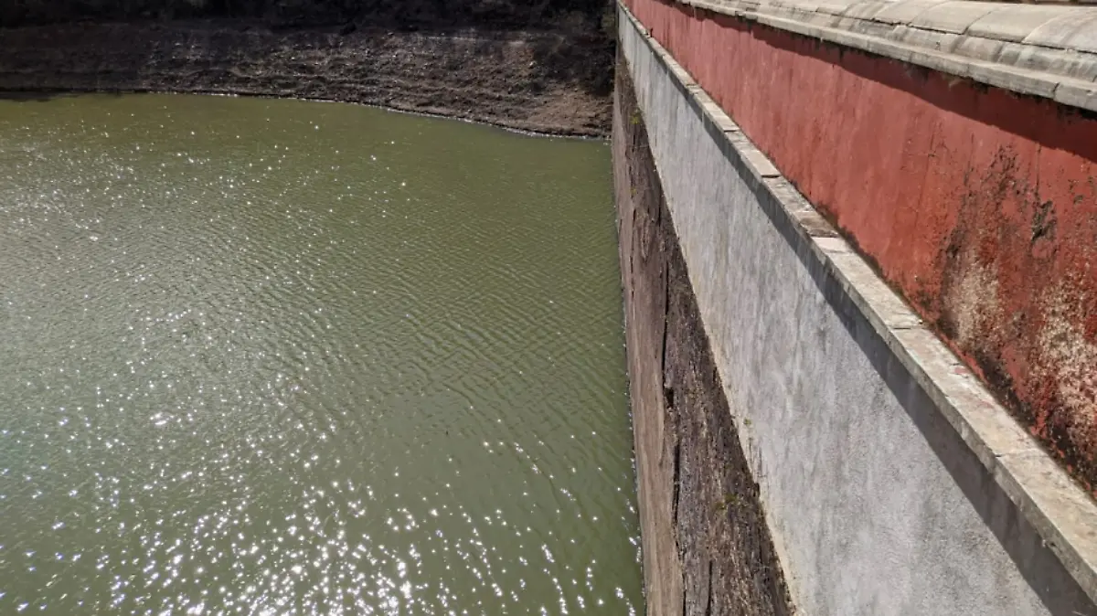 Captura de pantalla 2024-02-19 194819