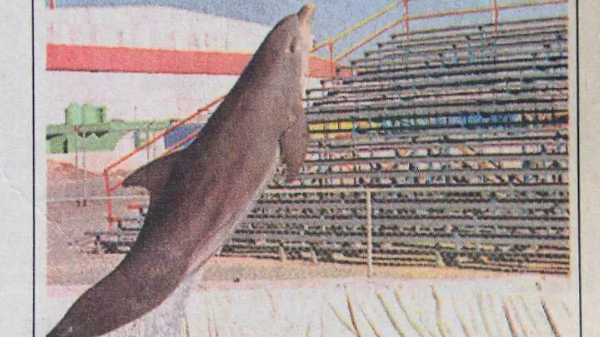 Así-era-la-Feria-de-León-en-1999 (3)