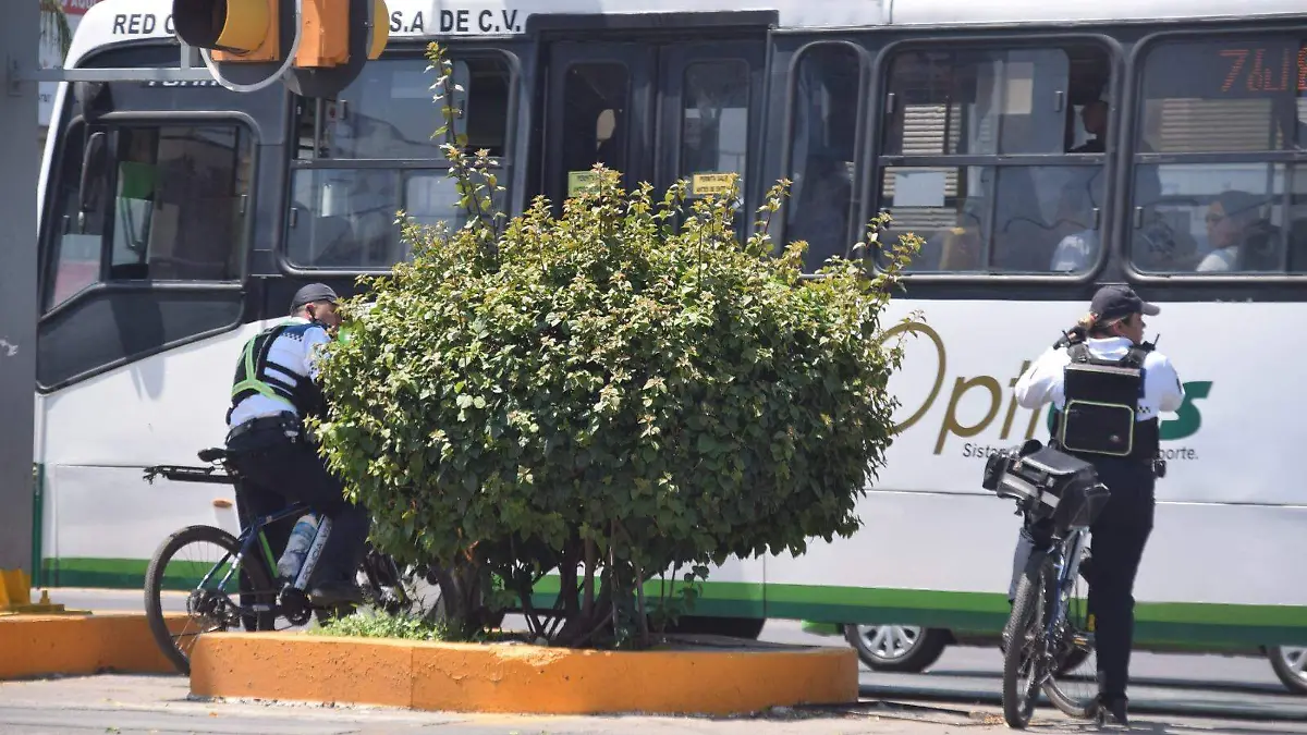 Image 2024-05-16 at 14.09.09 (2)