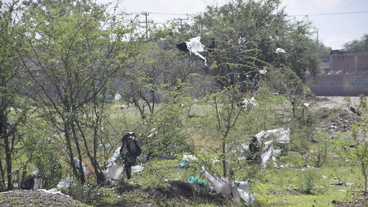 F CARMONA BASURA SAN JUAN DE ABAJO (4)