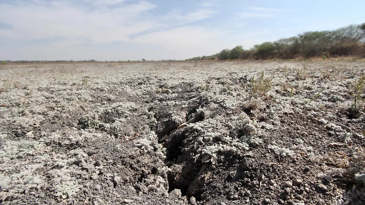 Atraviesa Guanajuato la peor sequía del último siglo