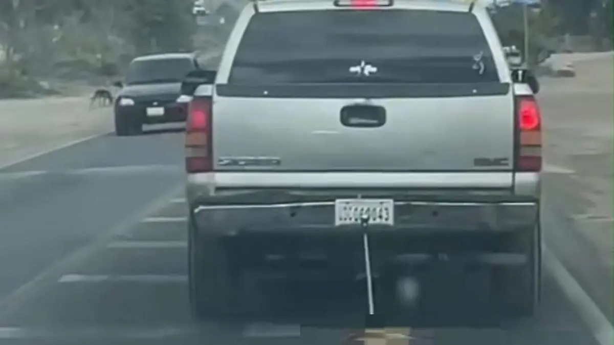 CONDENA ALCALDE ACTO INHUMANO CONTRA PERRO42