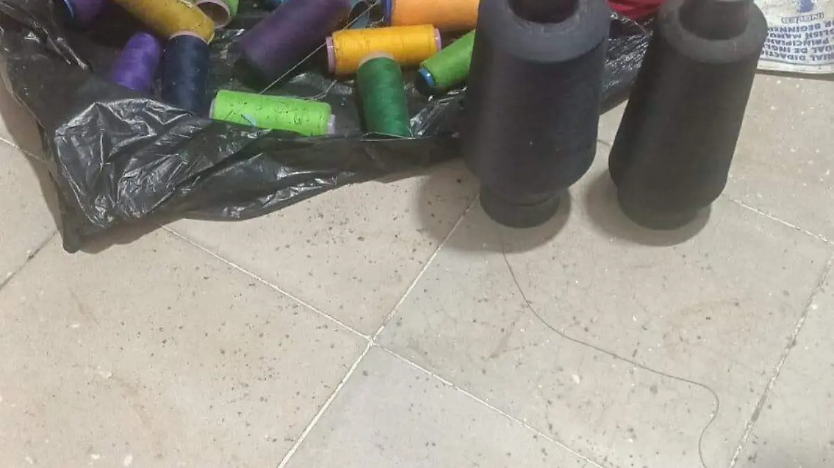 Image 2024-07-20 at 15.10.01