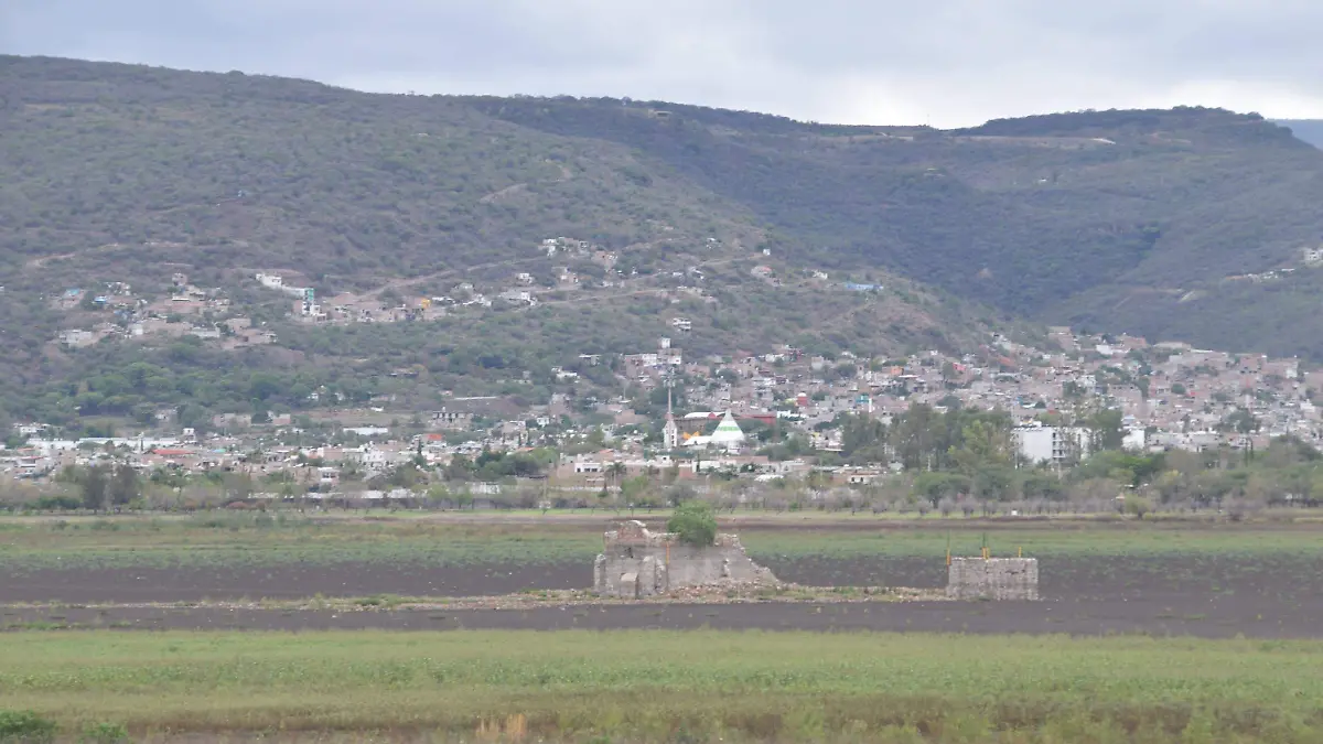 Image 2024-07-01 at 15.04.07