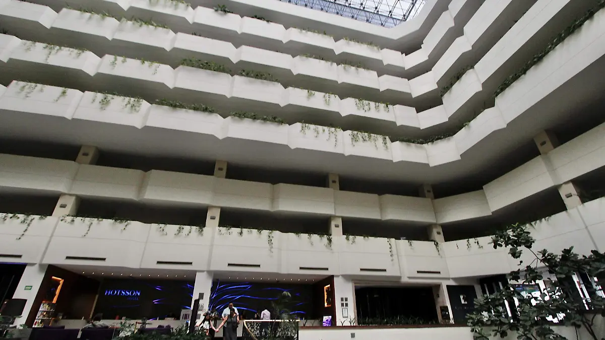 HOTELES - Fco Meza - El Sol de Leon (3)