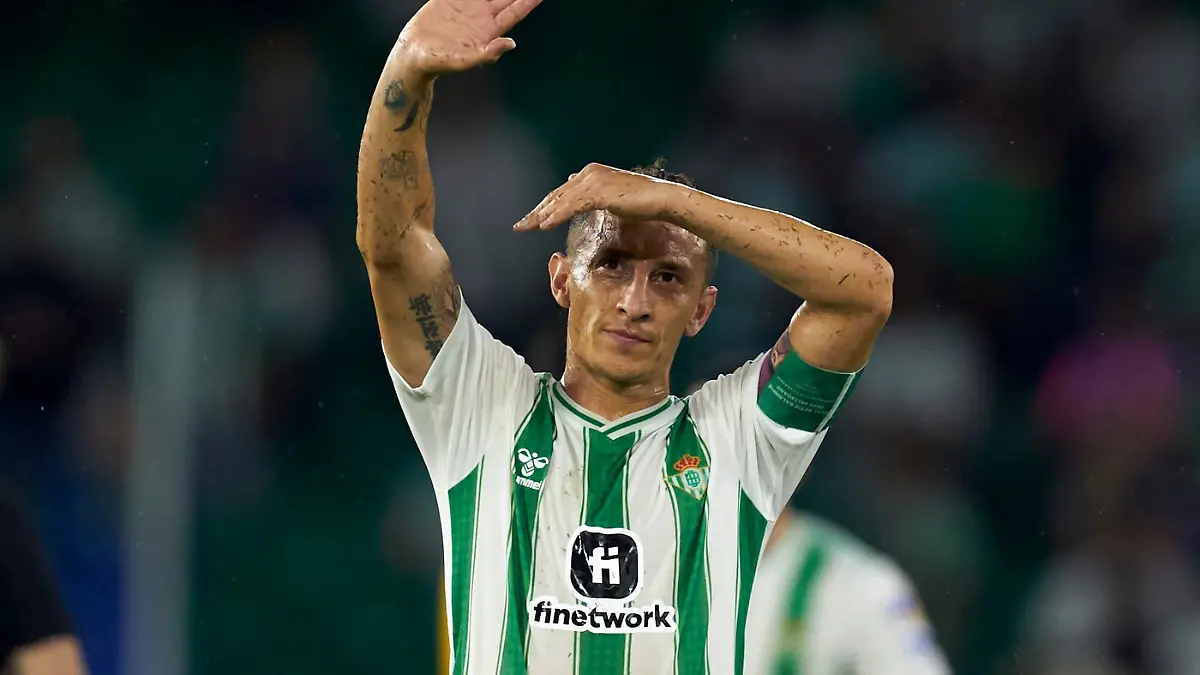 Guardado