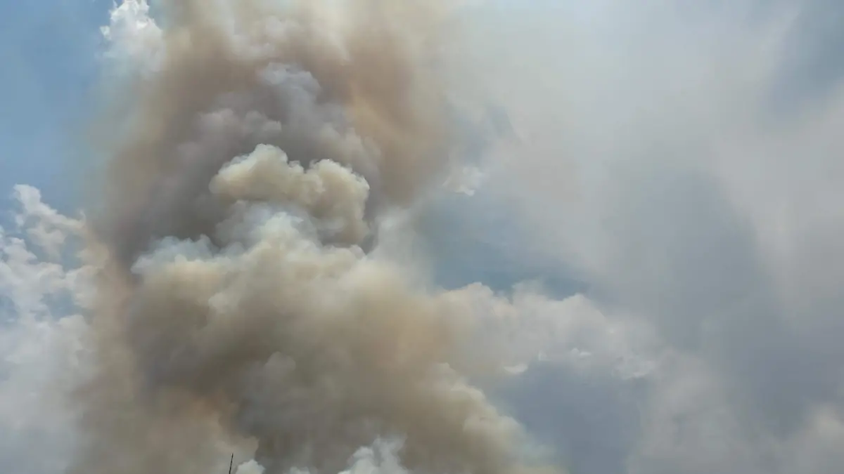 Image 2024-06-06 at 3.26.13 PM