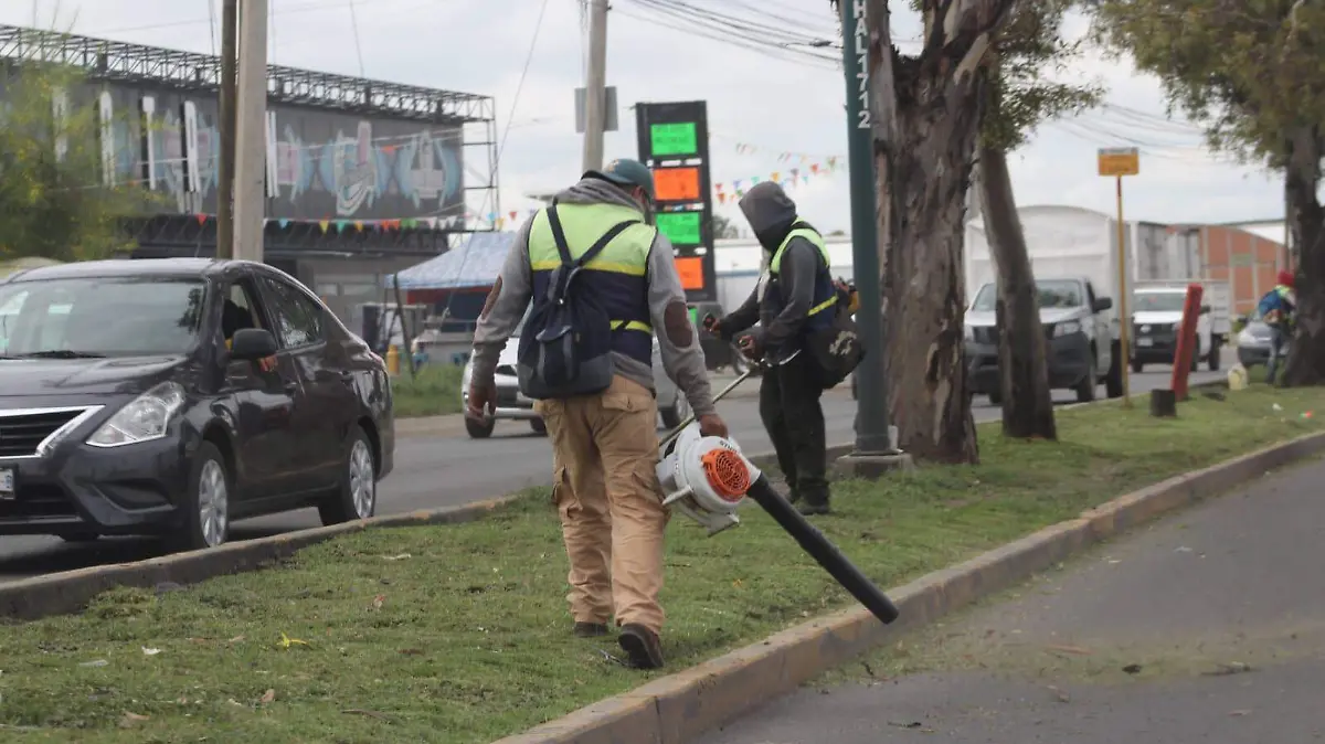 FCO MEZA EMPLEOS (1)