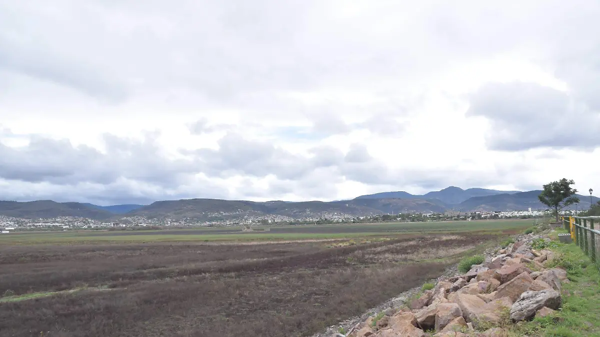 Image 2024-07-01 at 15.04.03