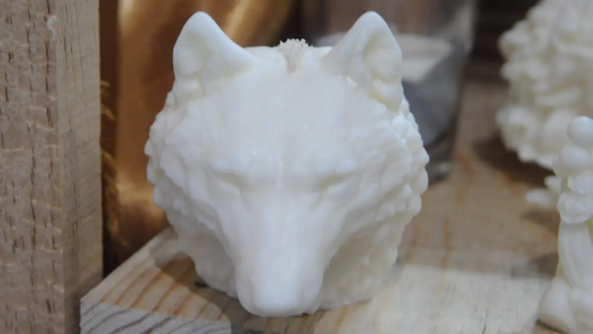 cera fotos ricardo sanchez (3)