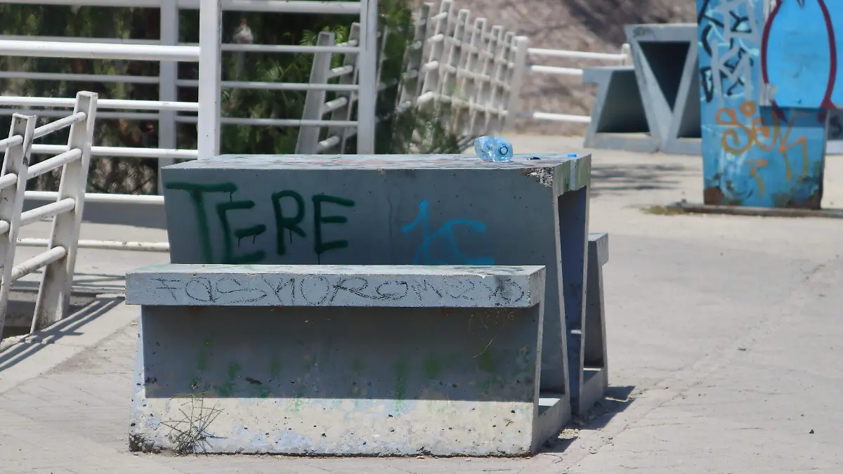 SARDENETA - Fco Meza - El Sol de León (4)