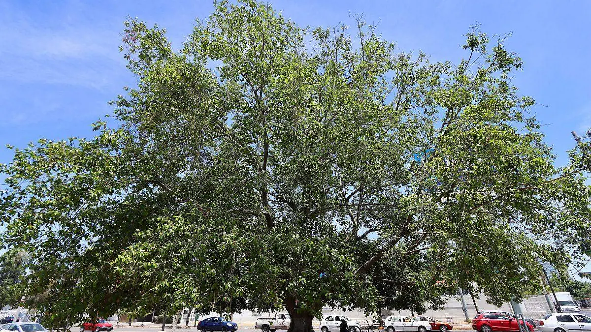 Diseño sin título (38)