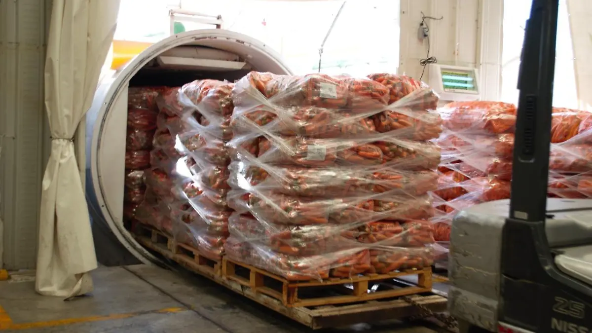 CORTESIA COFOCE - EXPORTACIONES (1) (2)