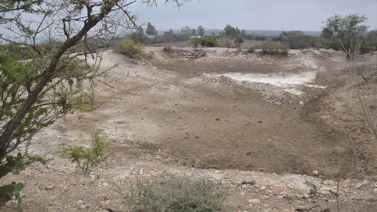 FCARMONA_SIEMBRA_ZONA_SUR