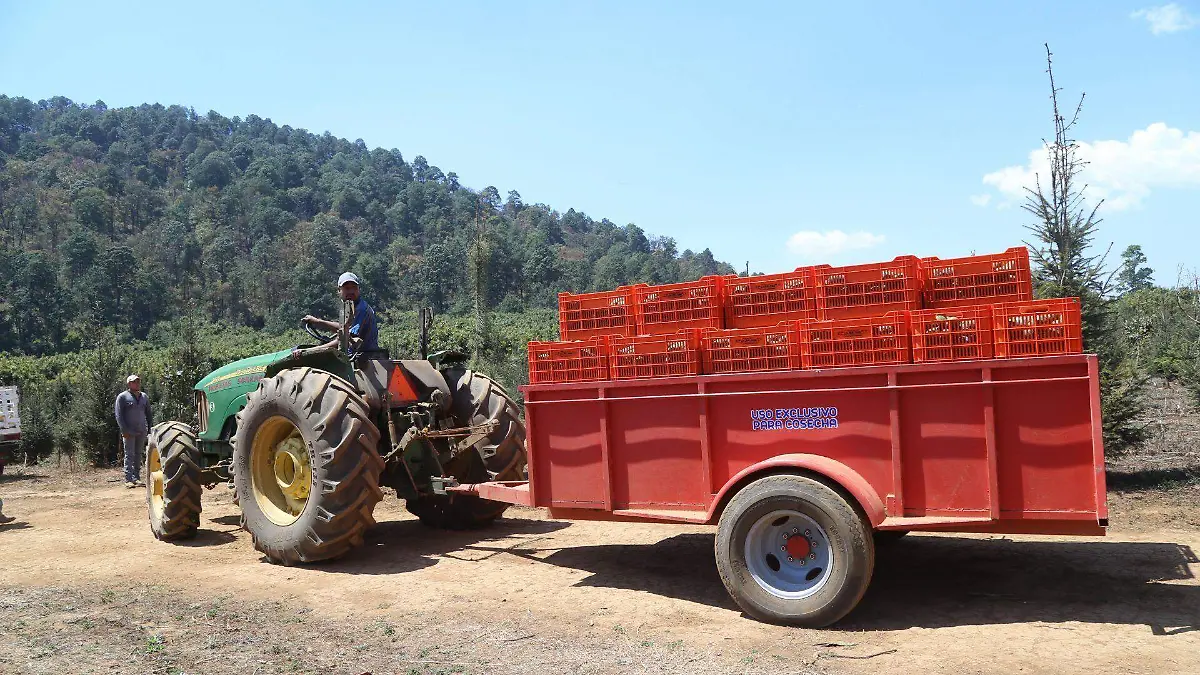 CORTESIA CUARTOSCURO - EXPORTACIONES (1) (1)