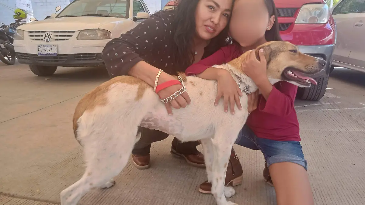 2b6c1ec7-8926-4776-a257-dac03e01a345