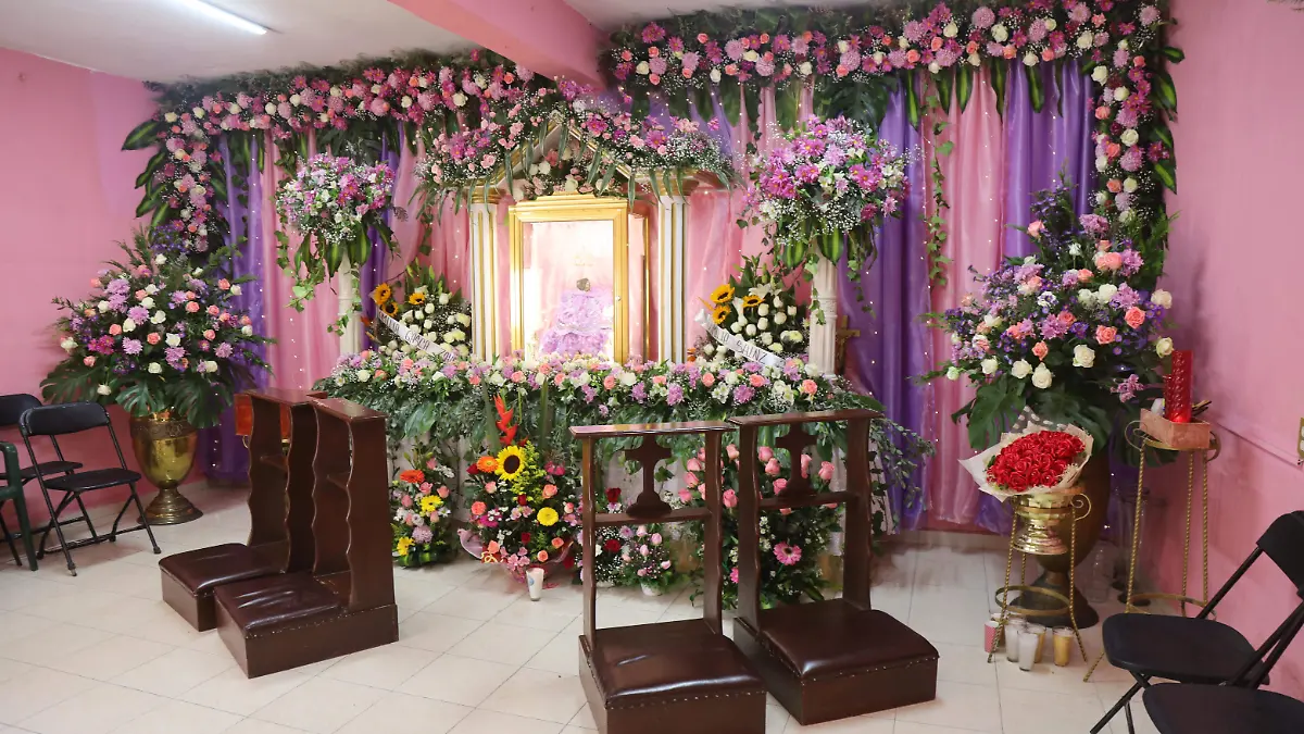 PIEDRA VIRGEN DE GPE- ROSARIO HORTA (2)