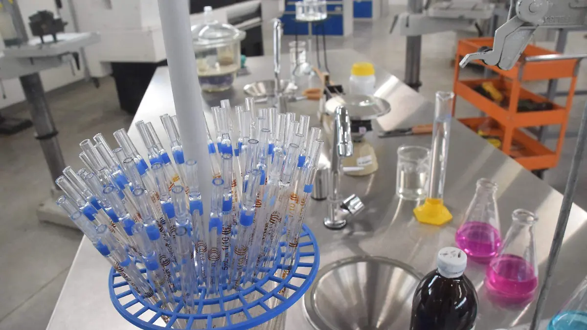 FCARMONA_laboratorio_CECyTEG  (4)