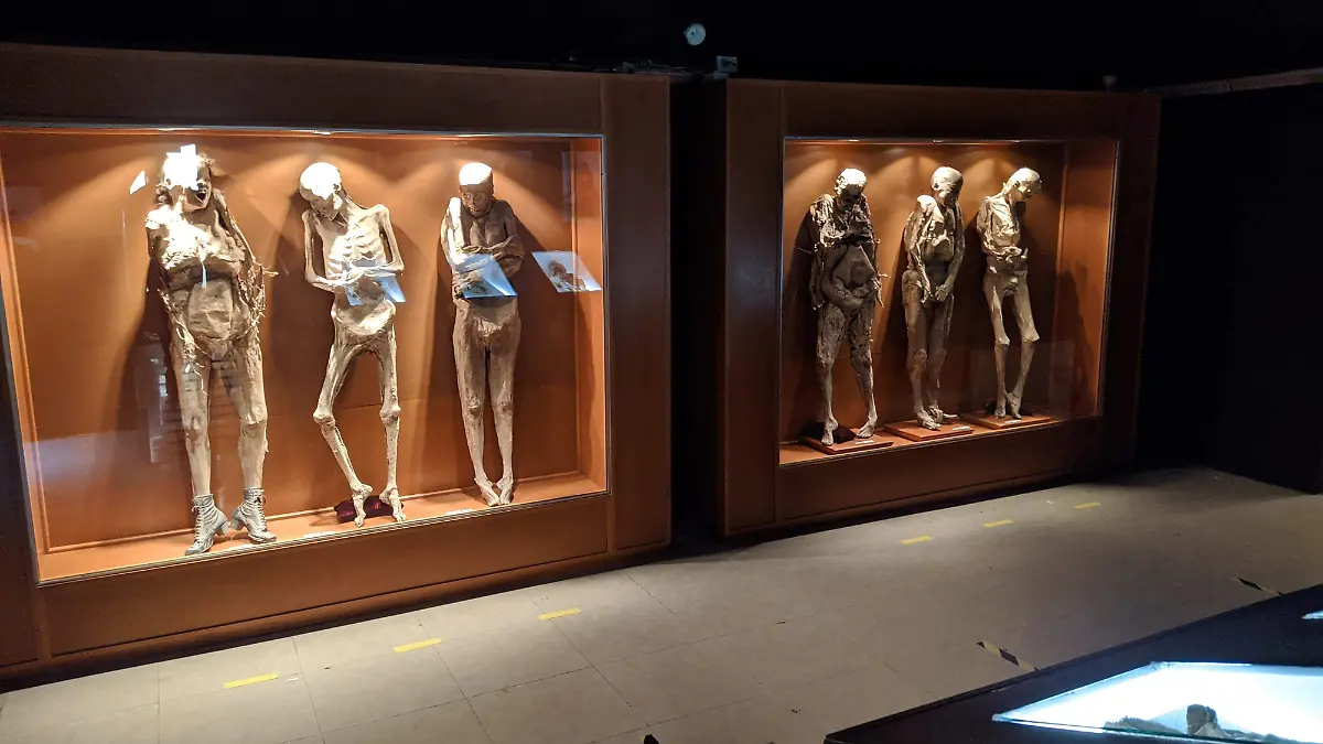 IMG_20200808_125149_1