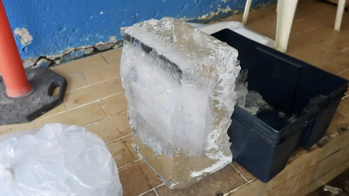 HIELO - Fco Meza - El Sol de León (5)