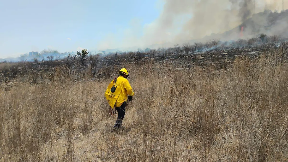 Image 2024-06-06 at 3.26.13 PM (1)