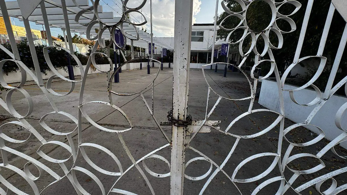 Image 2024-11-07 at 10.21.11 AM