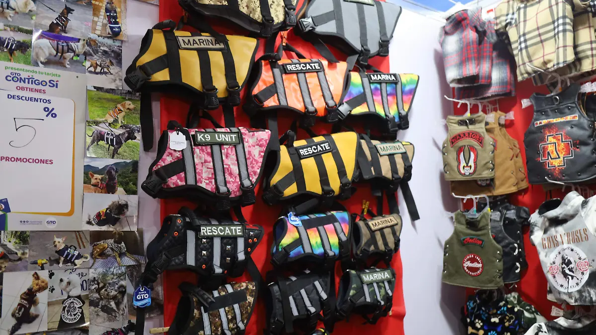 MODA PERRITOS - ROSARIO HORTA (12)