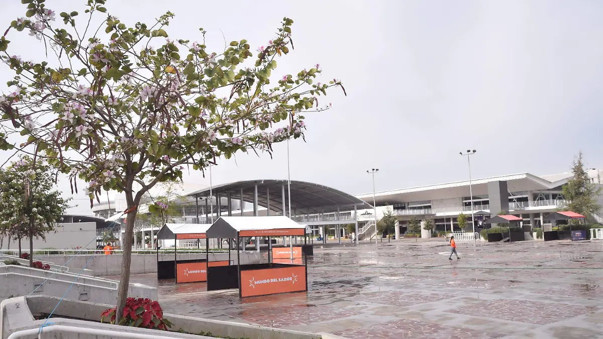 F CARMONA DISTRITO MX (1)