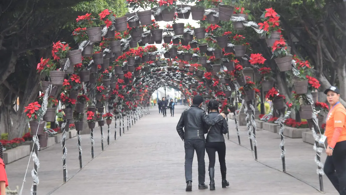 Decoraciones Navideñas Centro _ FRANCISCO CARMONA(3)