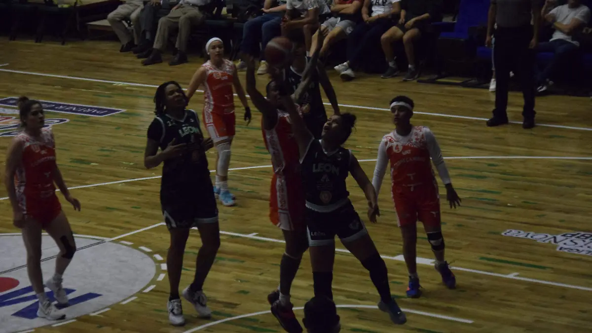 ABEJAS FEMENIL (1)