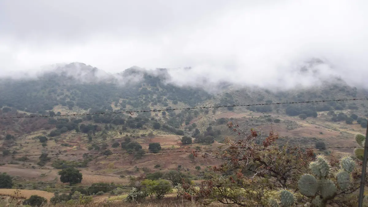 F CARMONA COMUNIDADES FRIO (10)