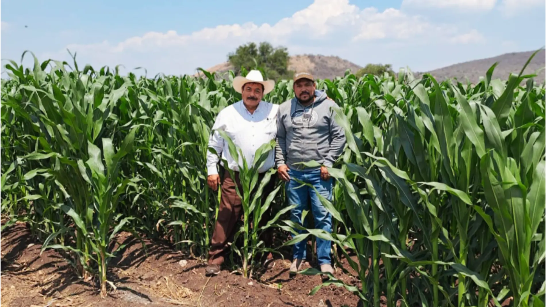 productores-de-guanajuato