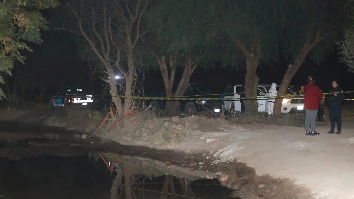 Imagen de WhatsApp 2023-11-27 a las 22.12.39_55da62ae