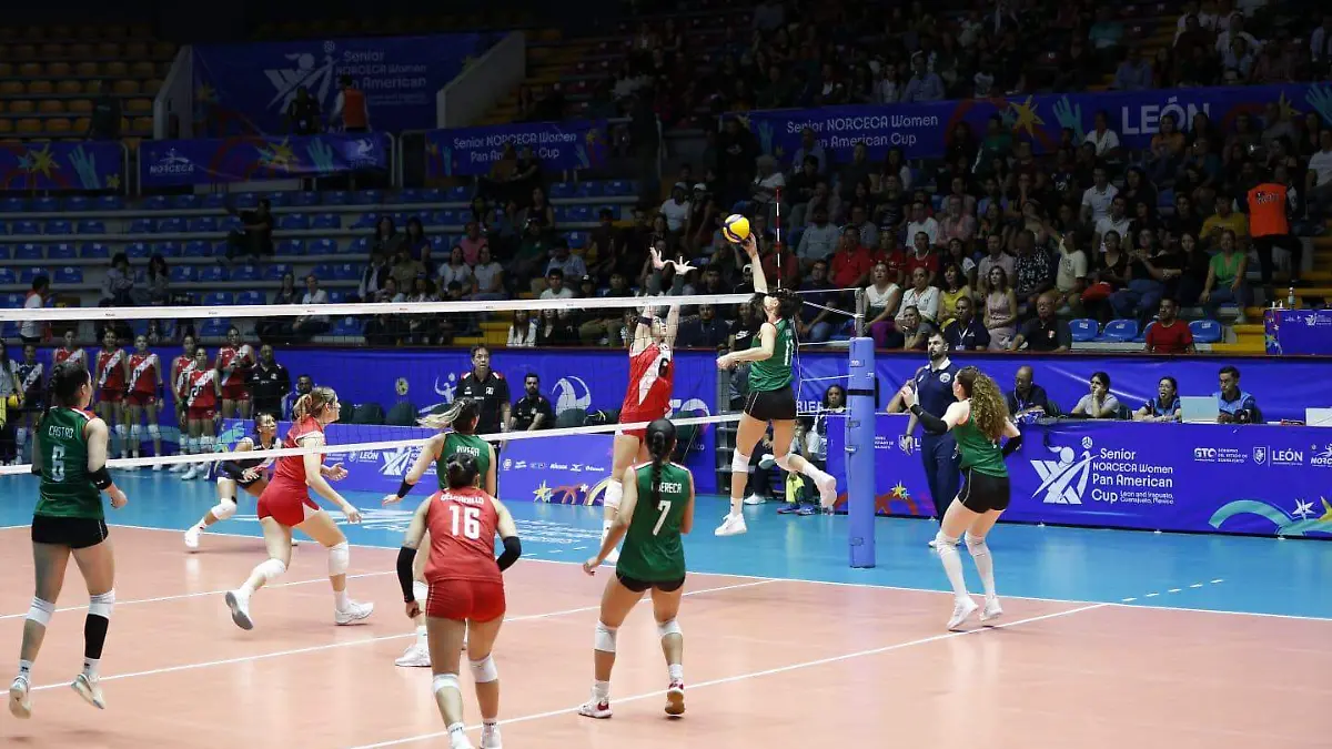 WhatsApp Image 2024-08-21 at 10.20.26 PM