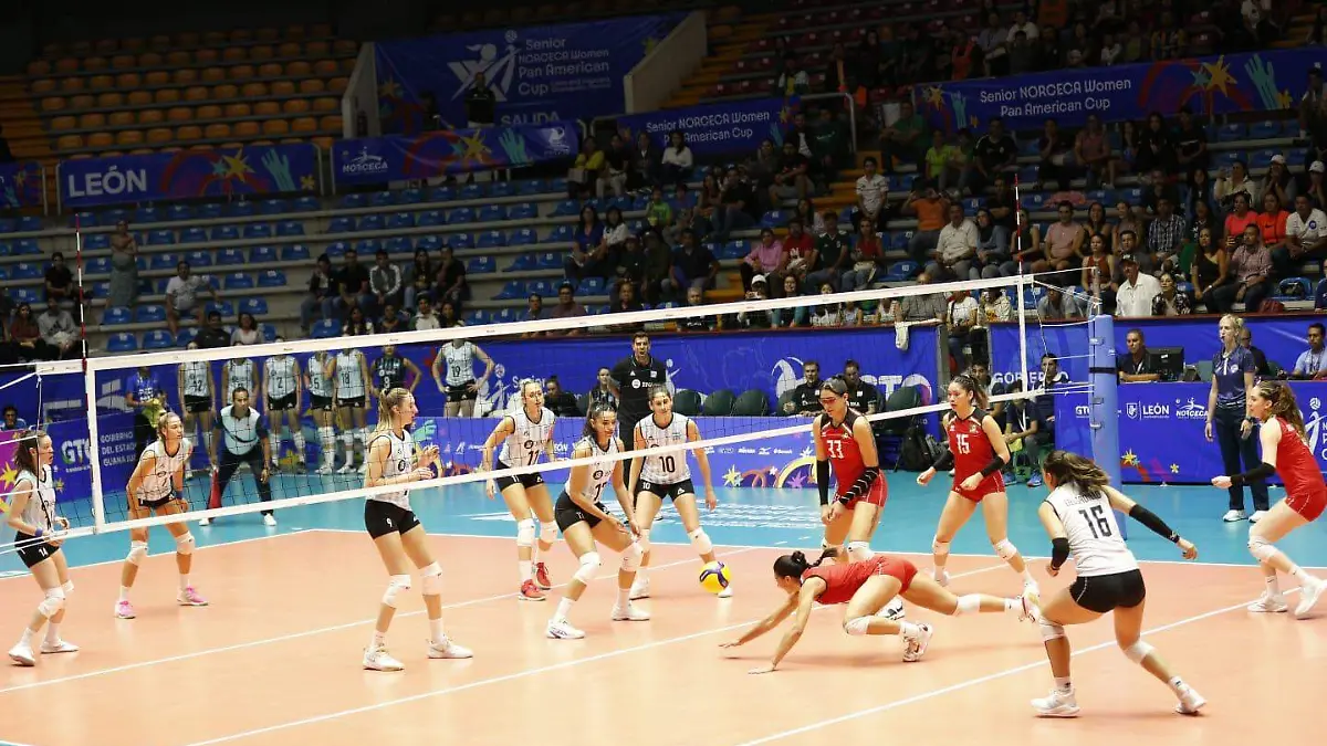 WhatsApp Image 2024-08-23 at 9.05.44 PM