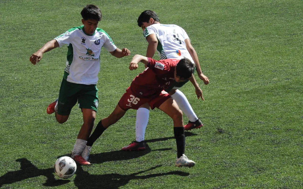 foto Ricardo Sanchez  (60) (8) (1)
