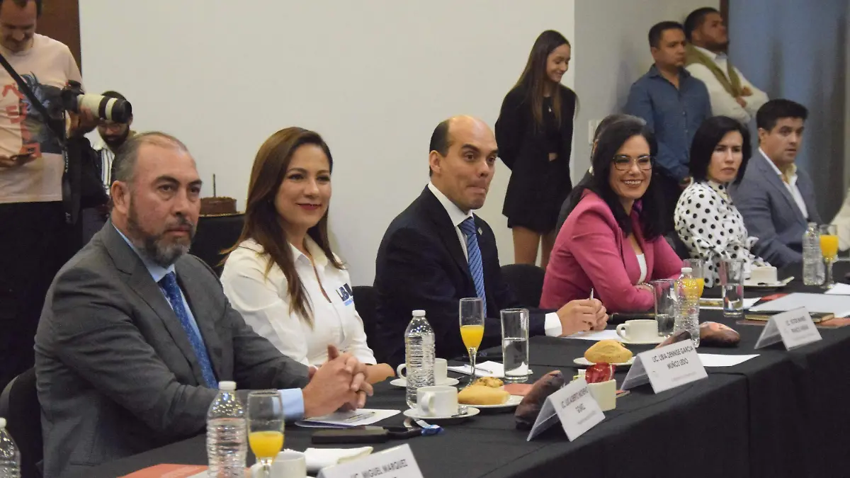 f carmona candidatas canadevi (6)