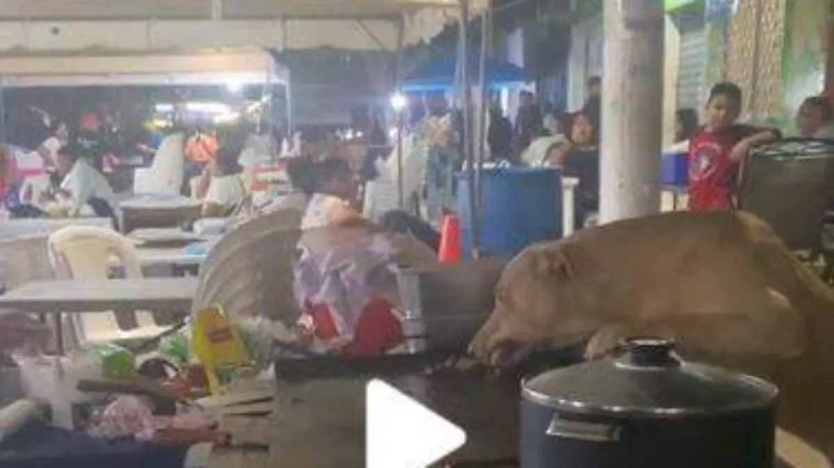 El-hambre-es-perrona (1)