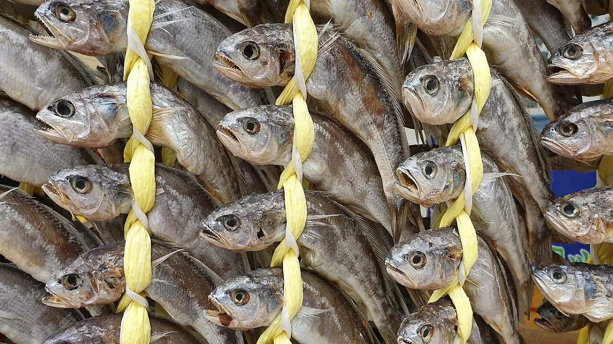  mariscos-y-pescado-frescos (1)