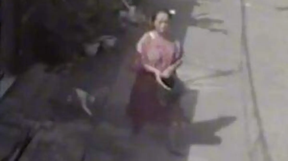 La-venganza-del-Michi (2)