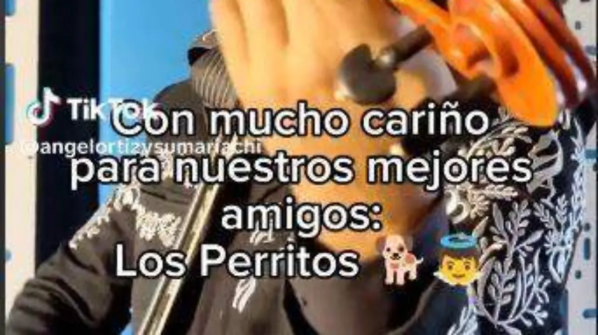 Mariachi-canta-versión-canina  (1)