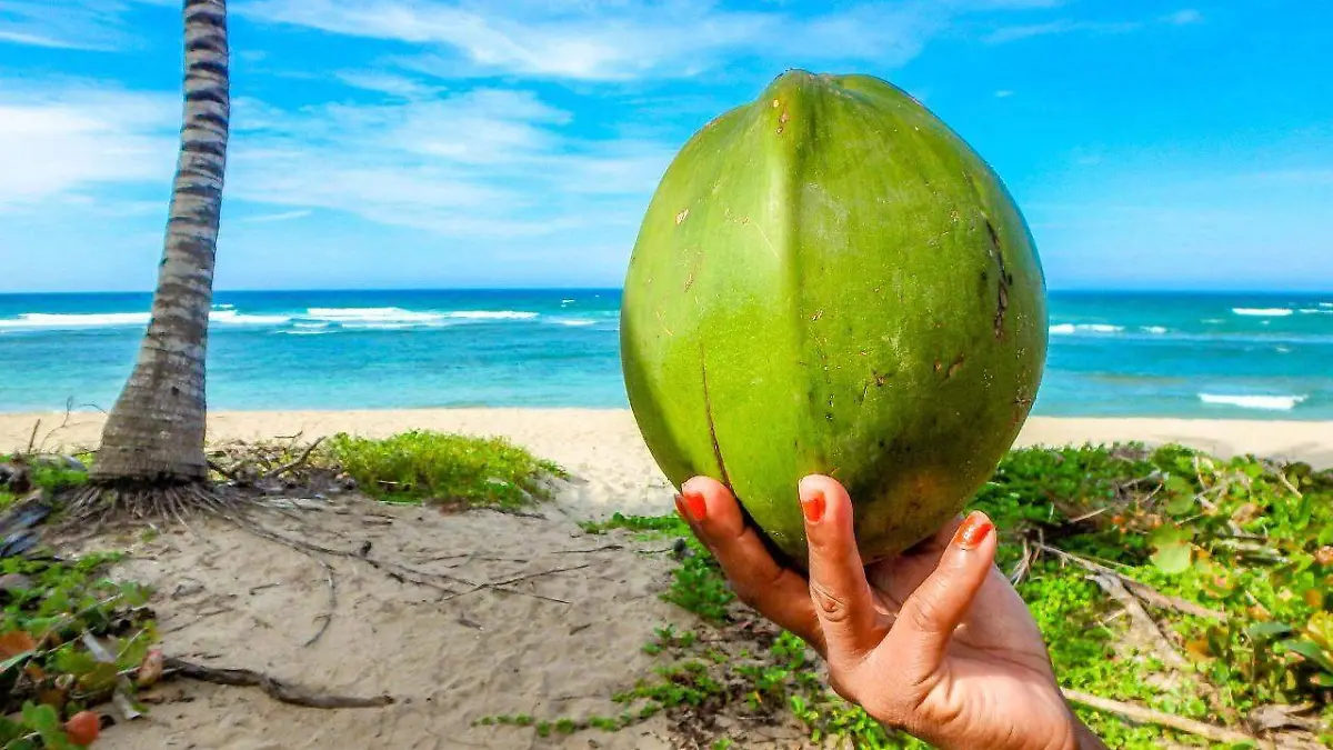 tomar-agua-de-coco  (2)