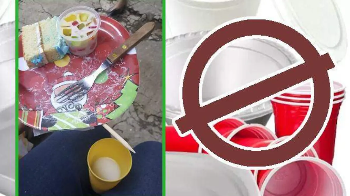 La-Unión-Europea-prohibirá-el-uso-de-productos-desechables-